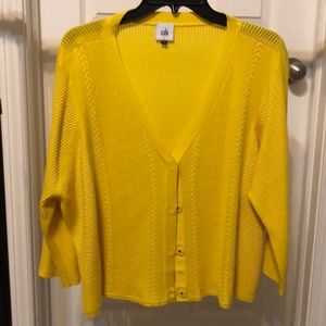 Cabi Sunny Sweater